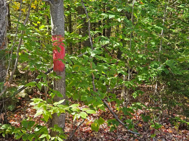 $79,900 | 59-007 Soper's Mill Road, Auburn, ME 04210