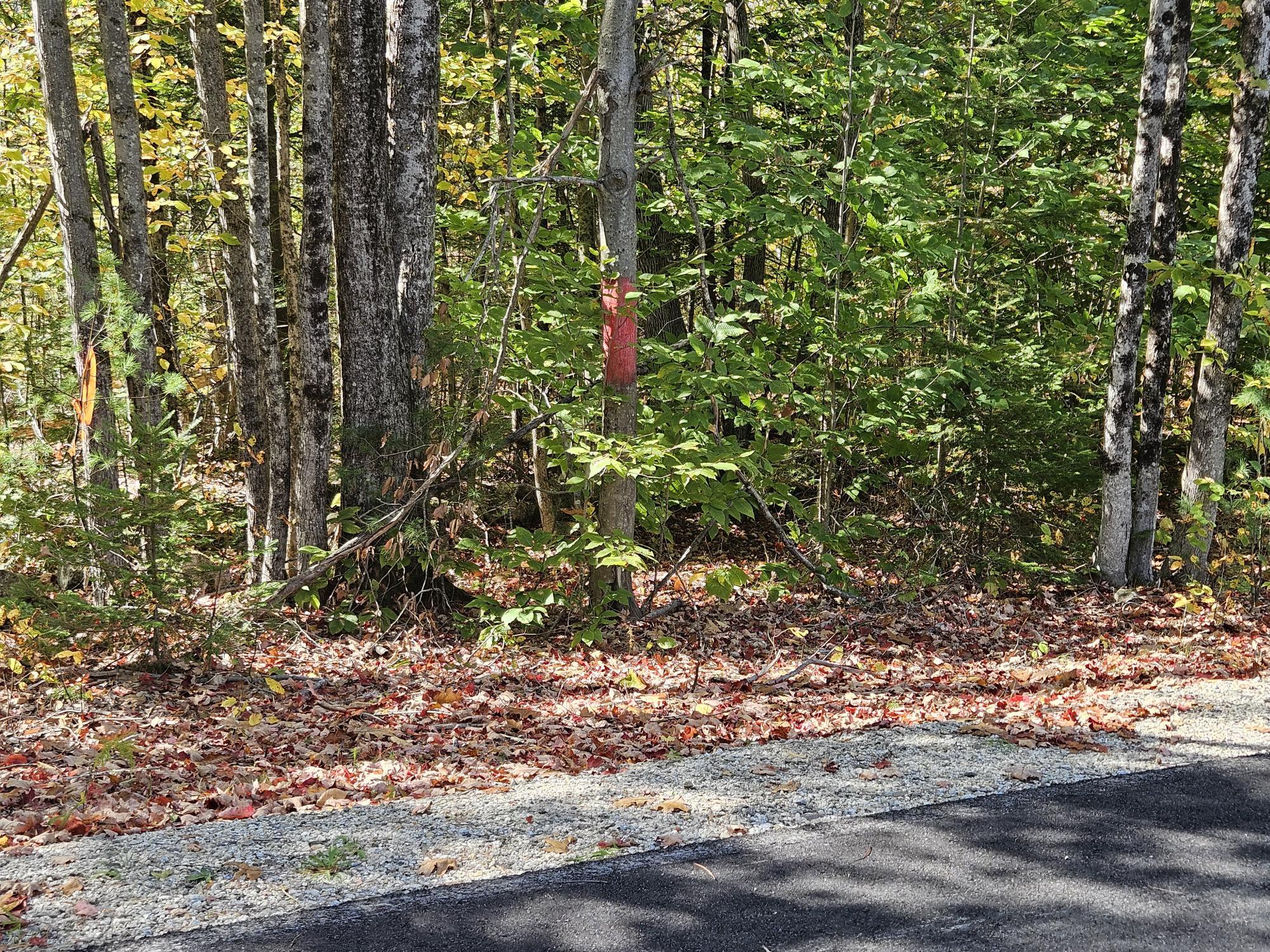 59-007 Soper's Mill Road Auburn, ME 04210 - Photo 7 of 41 20251009_133605