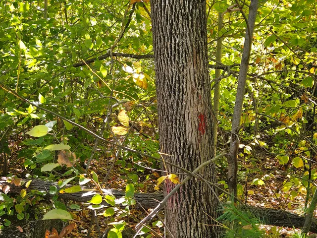 $79,900 | 59-007 Soper's Mill Road, Auburn, ME 04210