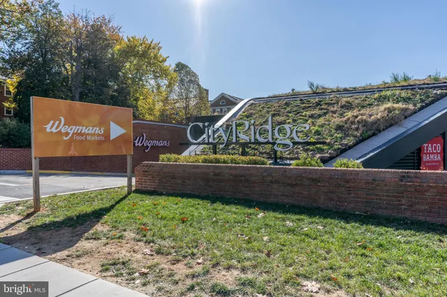 a view of a bench under an umbrella