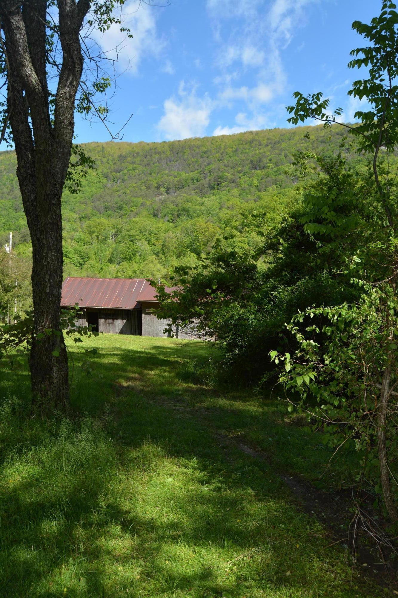 1720 Avondale Hollow Road Rutledge, TN 37861 - Photo 14 of 37 DSC_4424