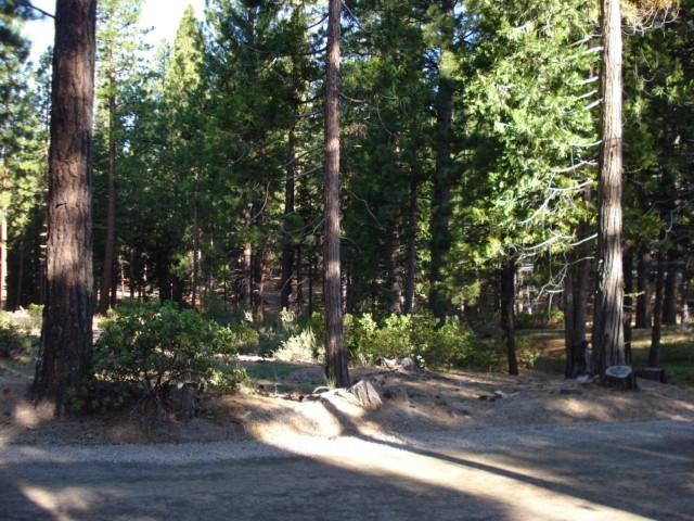 2001 C Road Clio, CA 96106 - Photo 9 of 15 Gallery Image 9