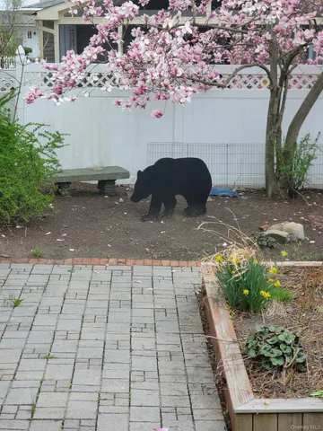 $279,999 | 37 Holbrook Street, Port Jervis, NY 12771