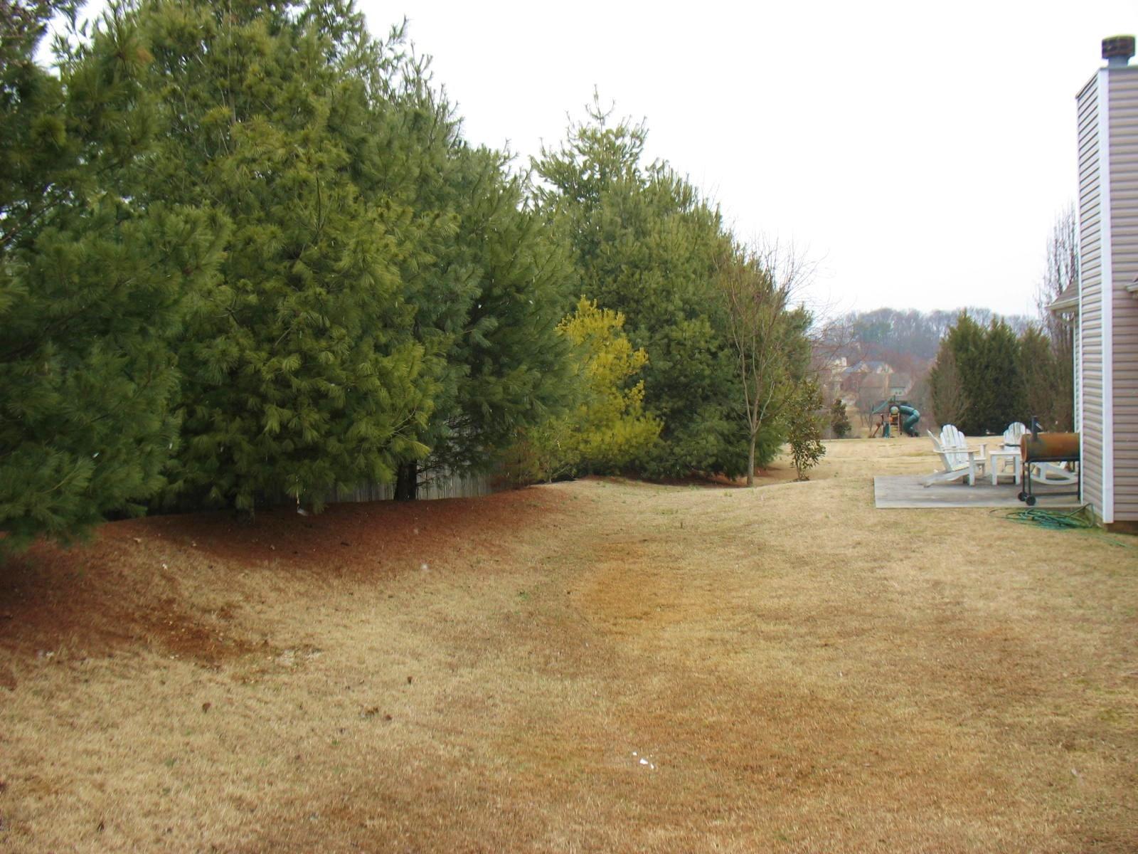13035 Sedgefield Road Knoxville, TN 37934 - Photo 26 of 36 Backyard 2