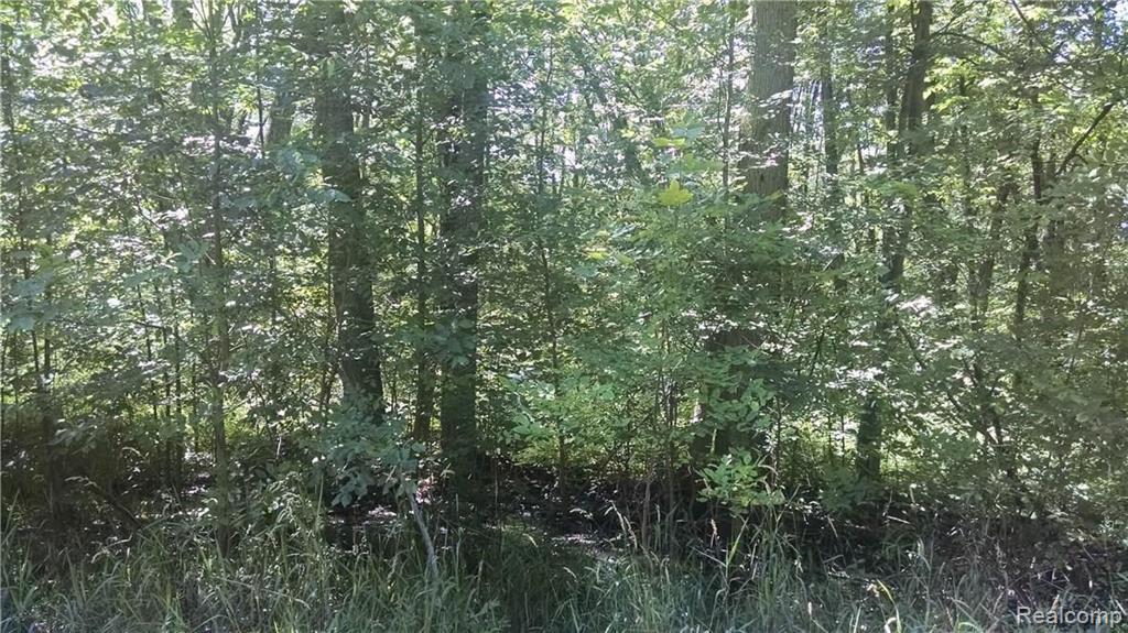 0 Coon Lake Road Fowlerville, MI 48836 - Photo 1 of 7