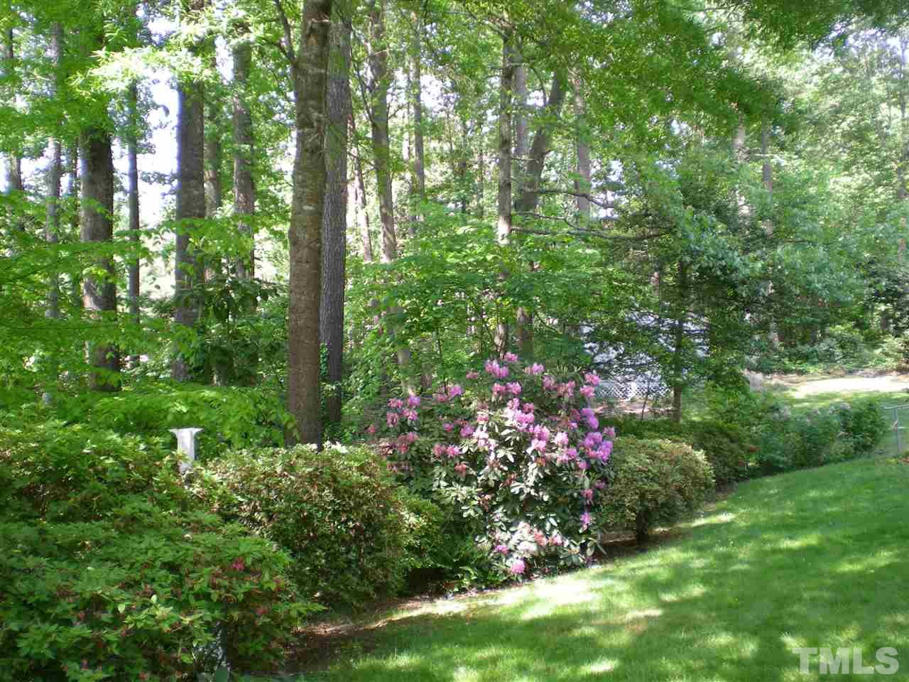 1308 Knights Way Raleigh, NC 27615 - Photo 6 of 25 a view of a garden with plants and large trees