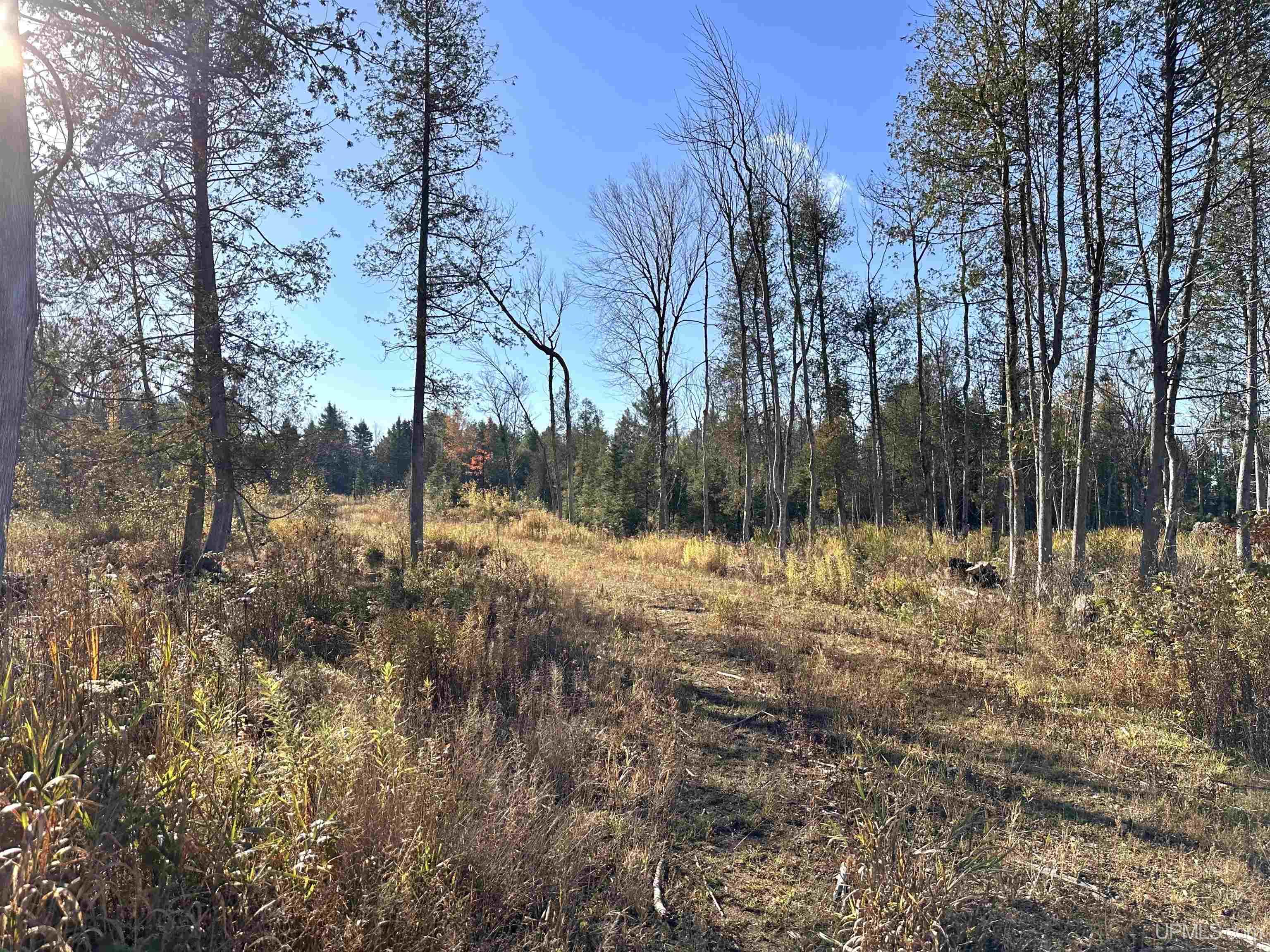 W8220 Co Road Vulcan, MI 49892 - Photo 11 of 14