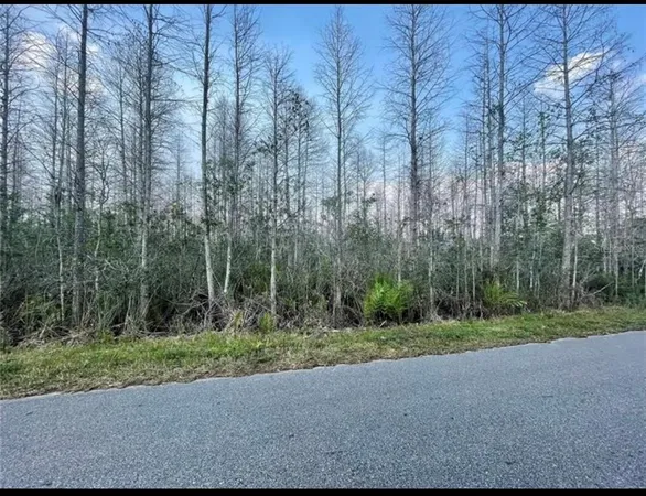 $35,000 | Luna Dr Street, St. Cloud, FL 34773