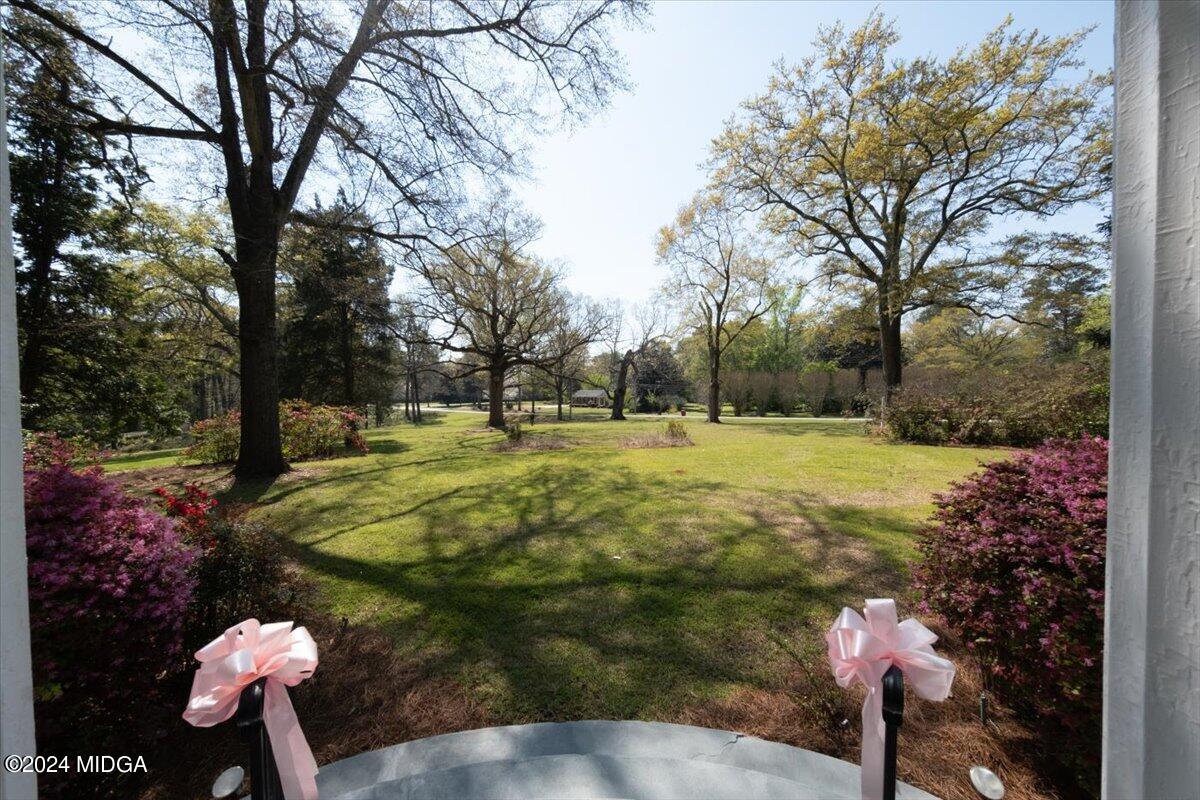 5469 Rivoli Drive Macon, GA 31210 - Photo 58 of 83 32-DSCF3158