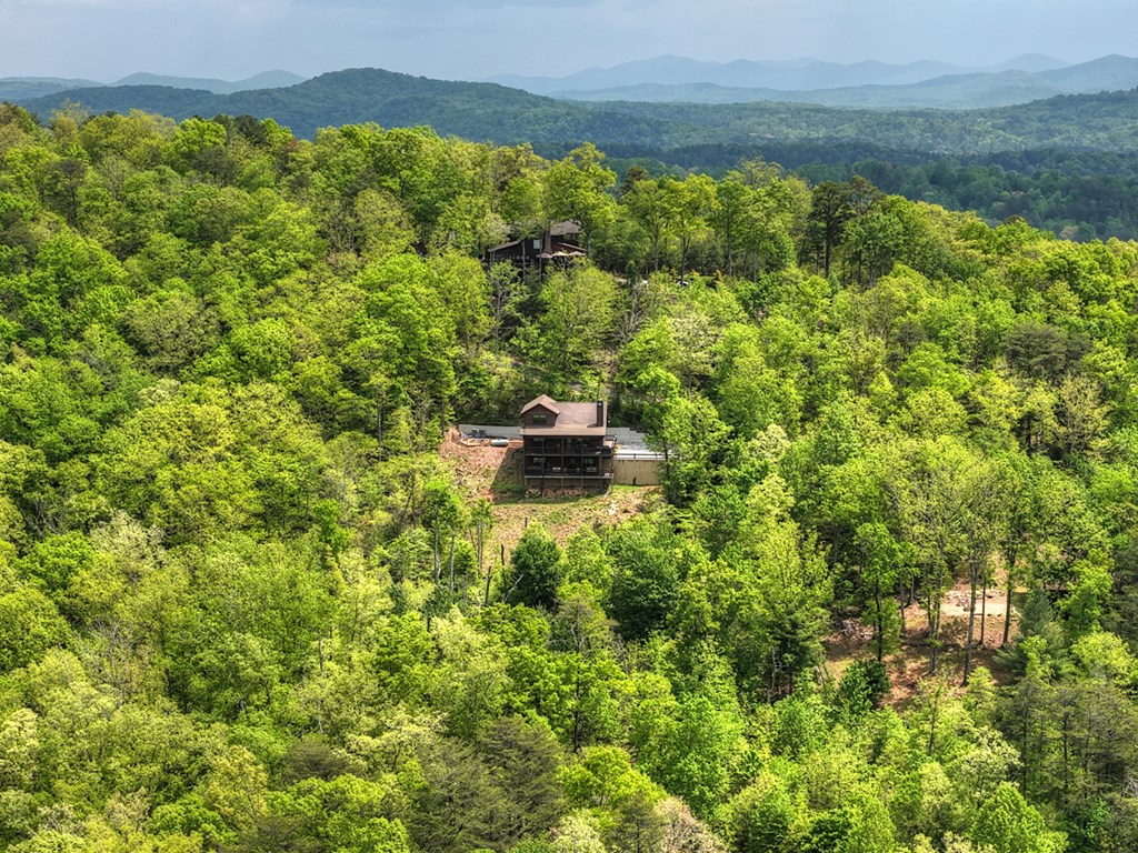 291 Tower Road Mineral Bluff, GA 30559 - Photo 11 of 55 a view of a garden