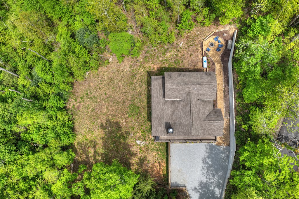 291 Tower Road Mineral Bluff, GA 30559 - Photo 13 of 55 an aerial view of a house with yard and outdoor seating