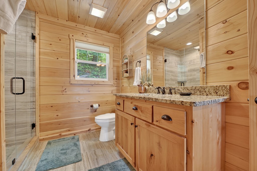 291 Tower Road Mineral Bluff, GA 30559 - Photo 36 of 55 a bathroom with a granite countertop sink a toilet a mirror and shower
