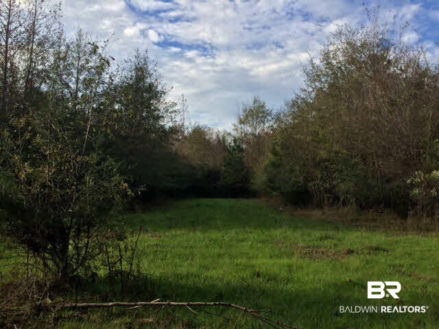 6102 Drewry Road Repton, AL 36475 - Photo 6 of 7