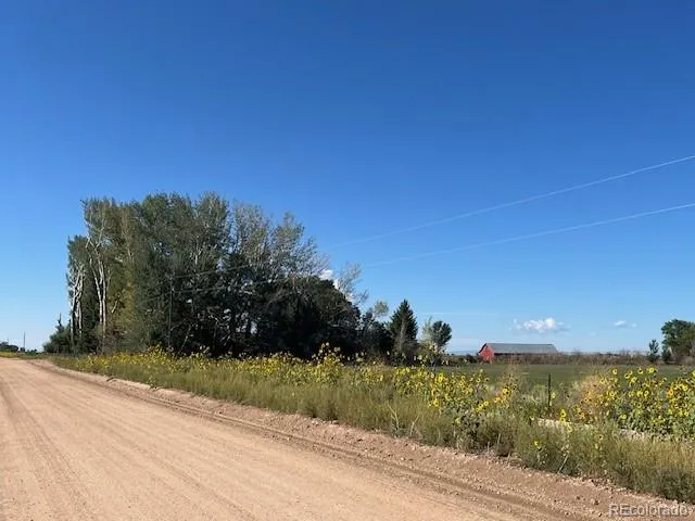 a view of a pathway both side of grassy field with trees
