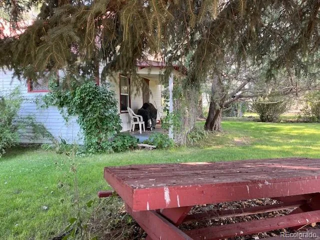 a view of a backyard with large trees
