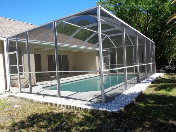 a view of a garden with plants