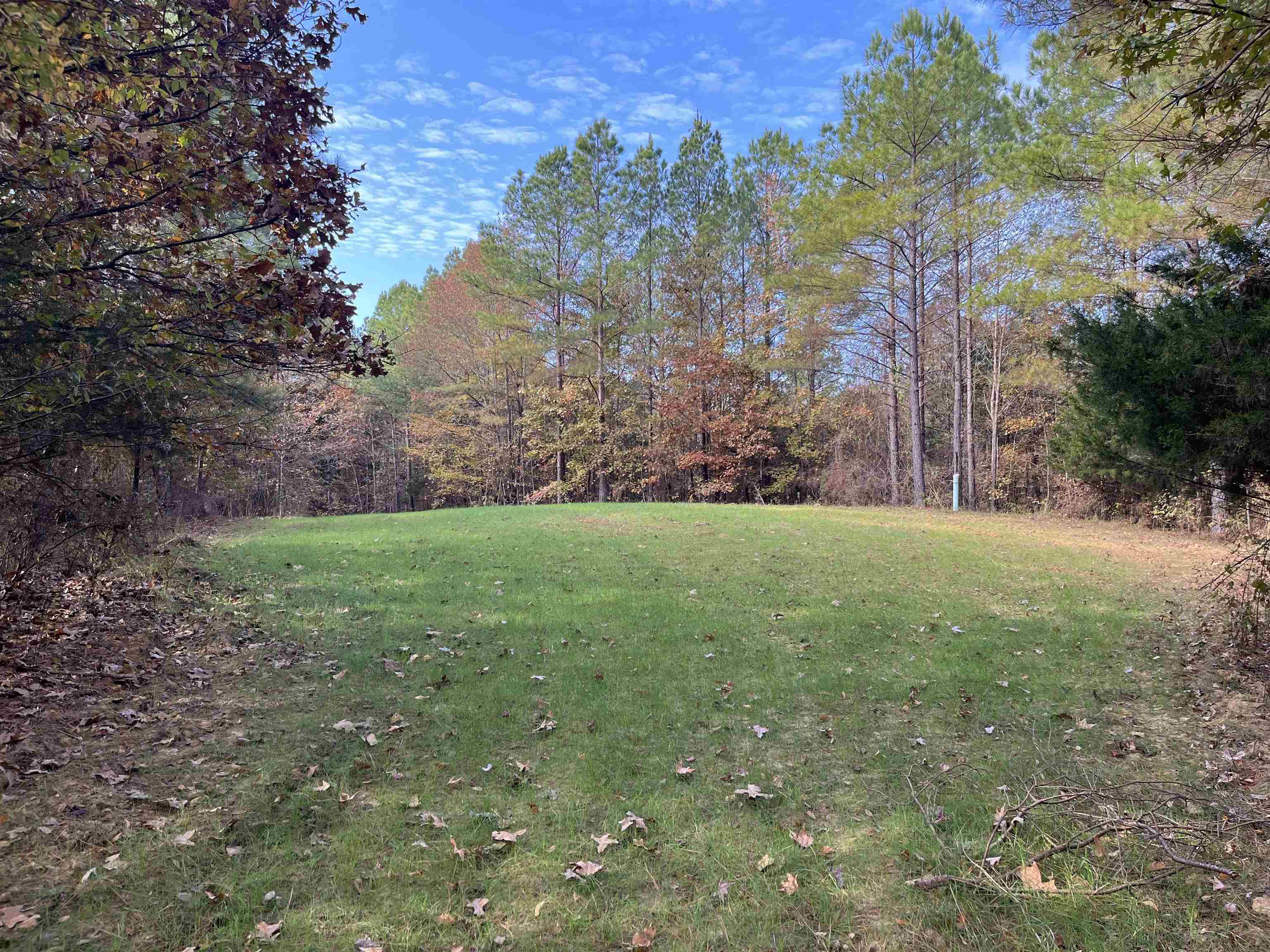 2300 Joiner Road Batesville, MS 38606 - Photo 1 of 15 View of grassy yard