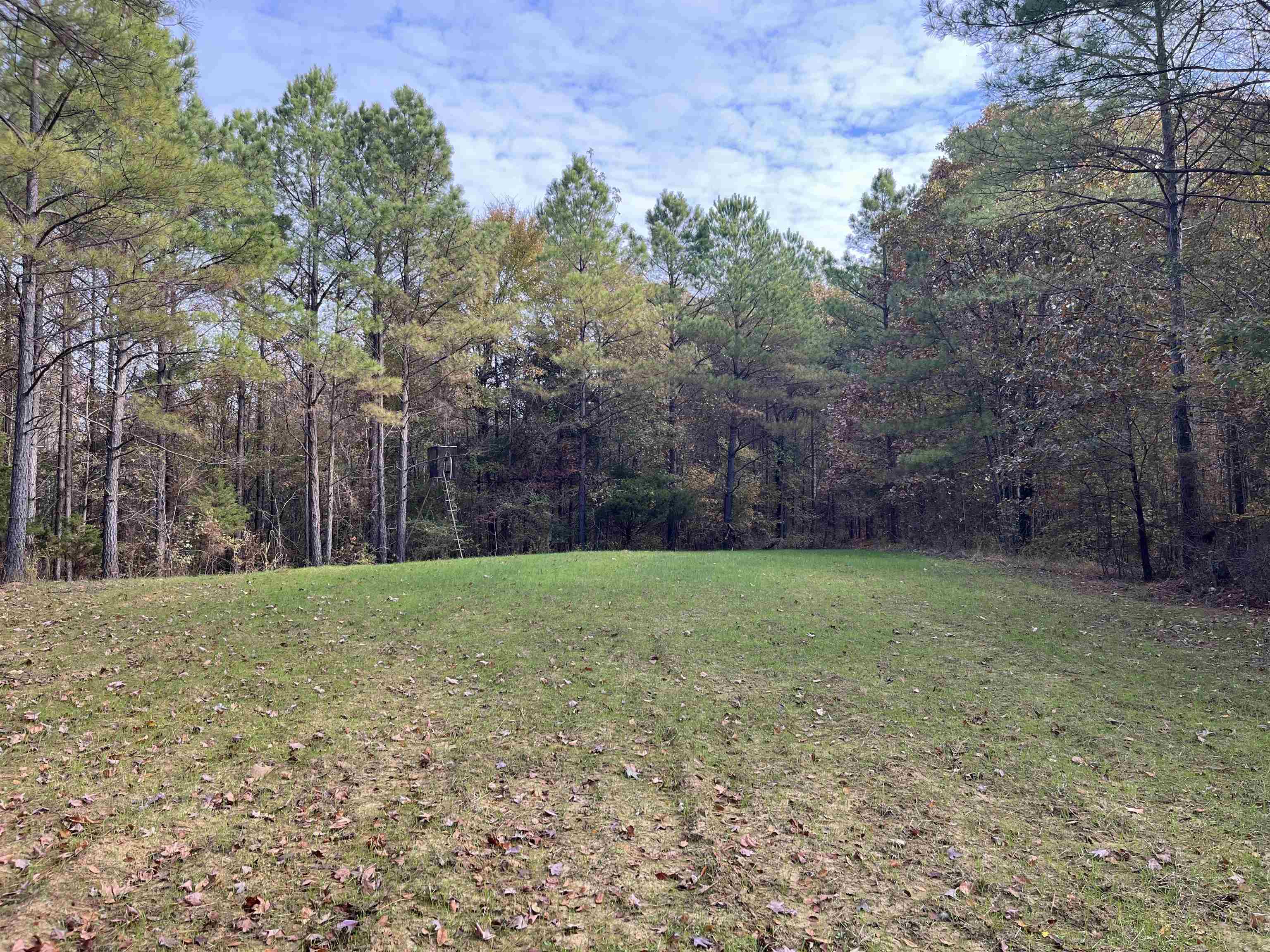 2300 Joiner Road Batesville, MS 38606 - Photo 12 of 15 View of green lawn