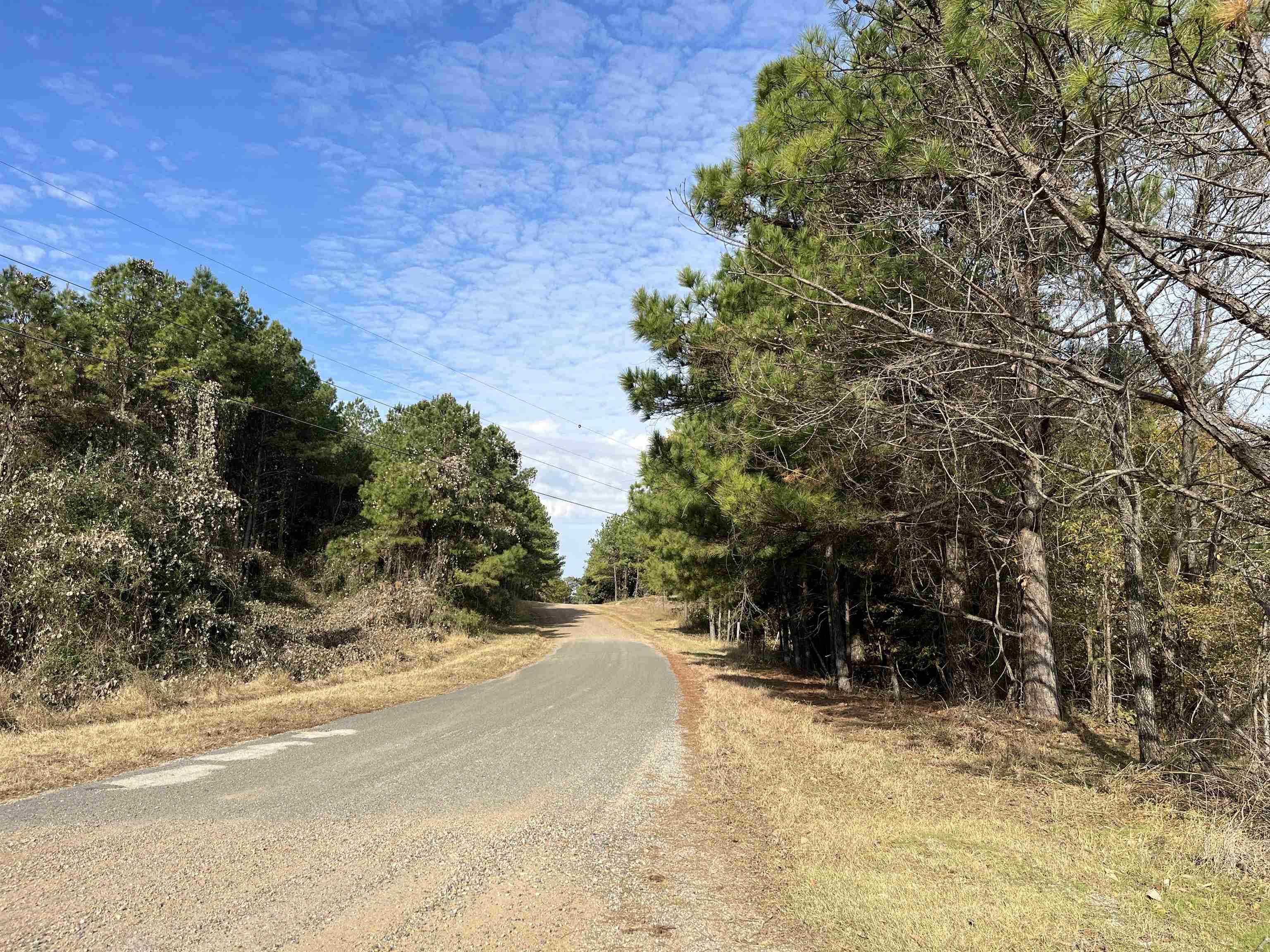 2300 Joiner Road Batesville, MS 38606 - Photo 13 of 15 View of asphalt street with view of wooded area