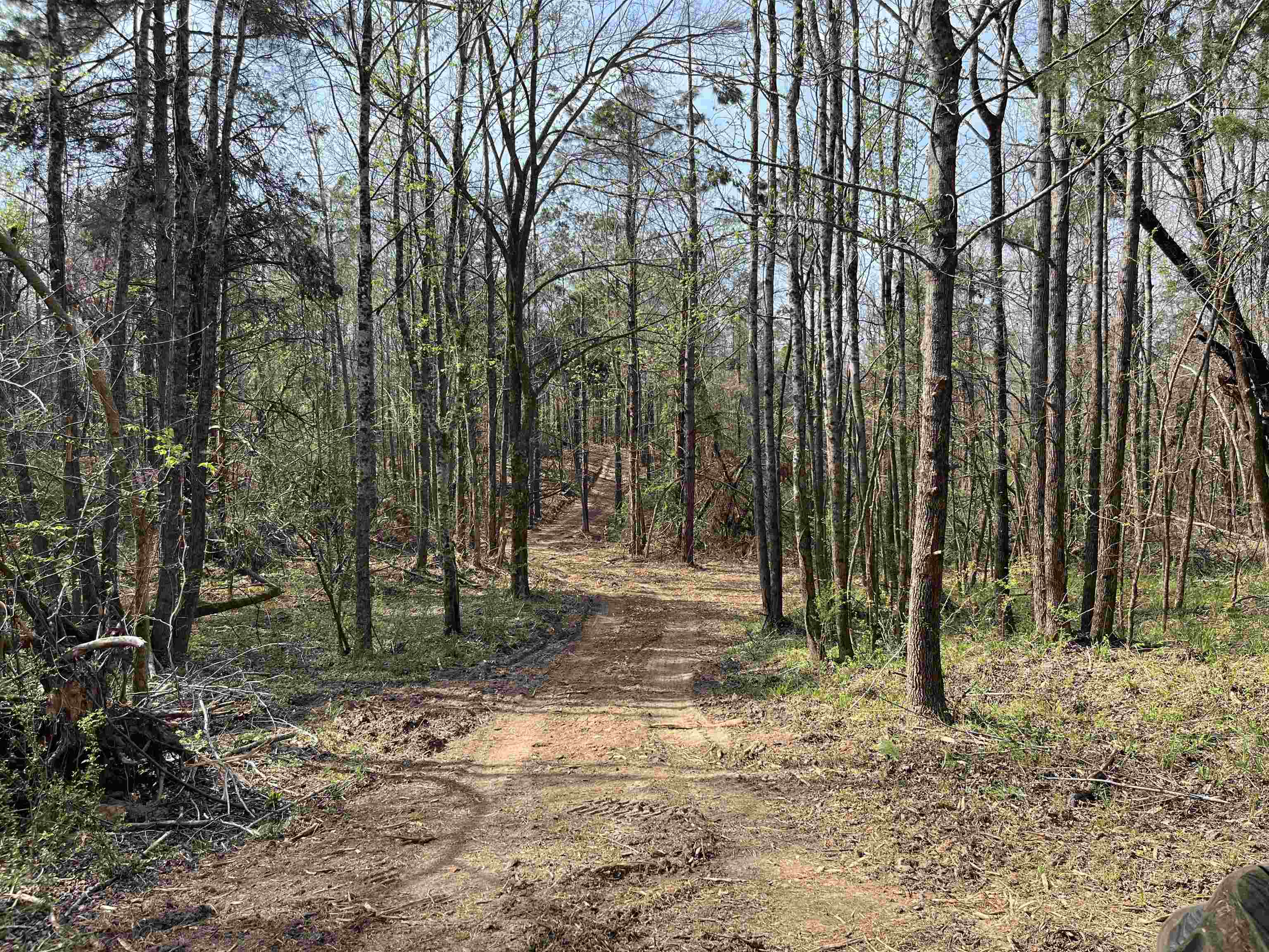 2300 Joiner Road Batesville, MS 38606 - Photo 2 of 15 View of tree filled area