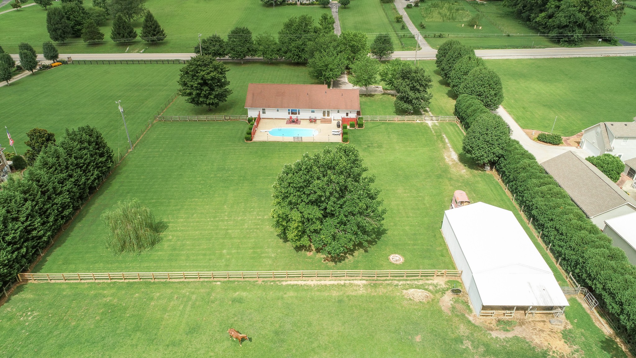 1872 Clara Mathis Road Spring Hill, TN 37174 - Photo 36 of 40 a view of a big yard with potted plants and large trees