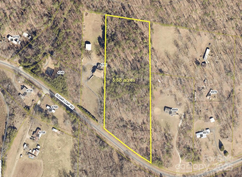 a bathroom with a shower curtain