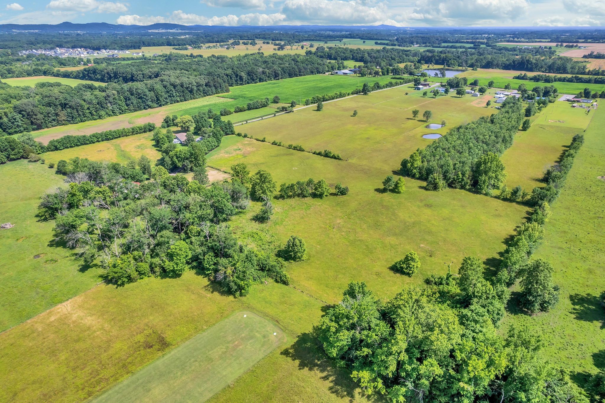 590 Squire Jones Road Bell Buckle, TN 37020 - Photo 11 of 54
