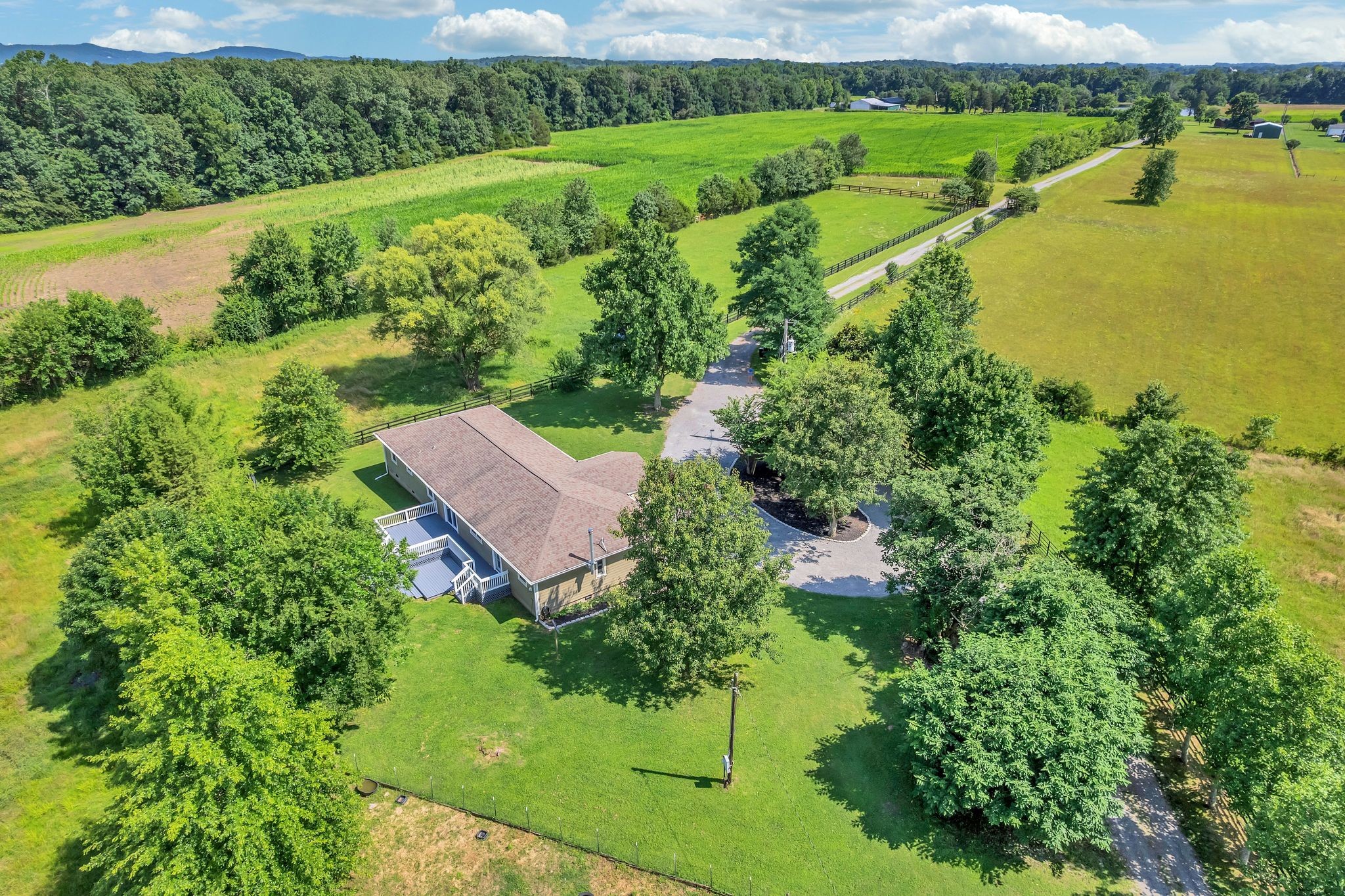 590 Squire Jones Road Bell Buckle, TN 37020 - Photo 4 of 54