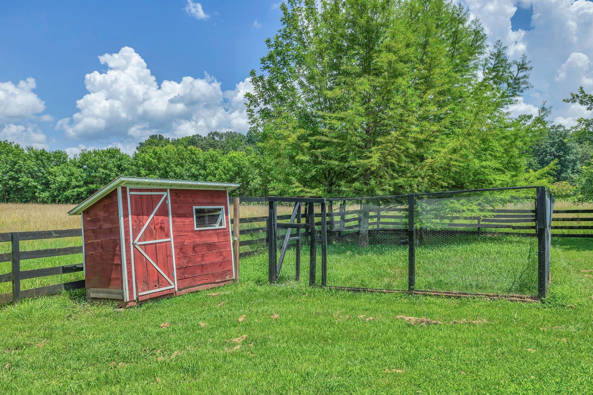 590 Squire Jones Road Bell Buckle, TN 37020 - Photo 52 of 54