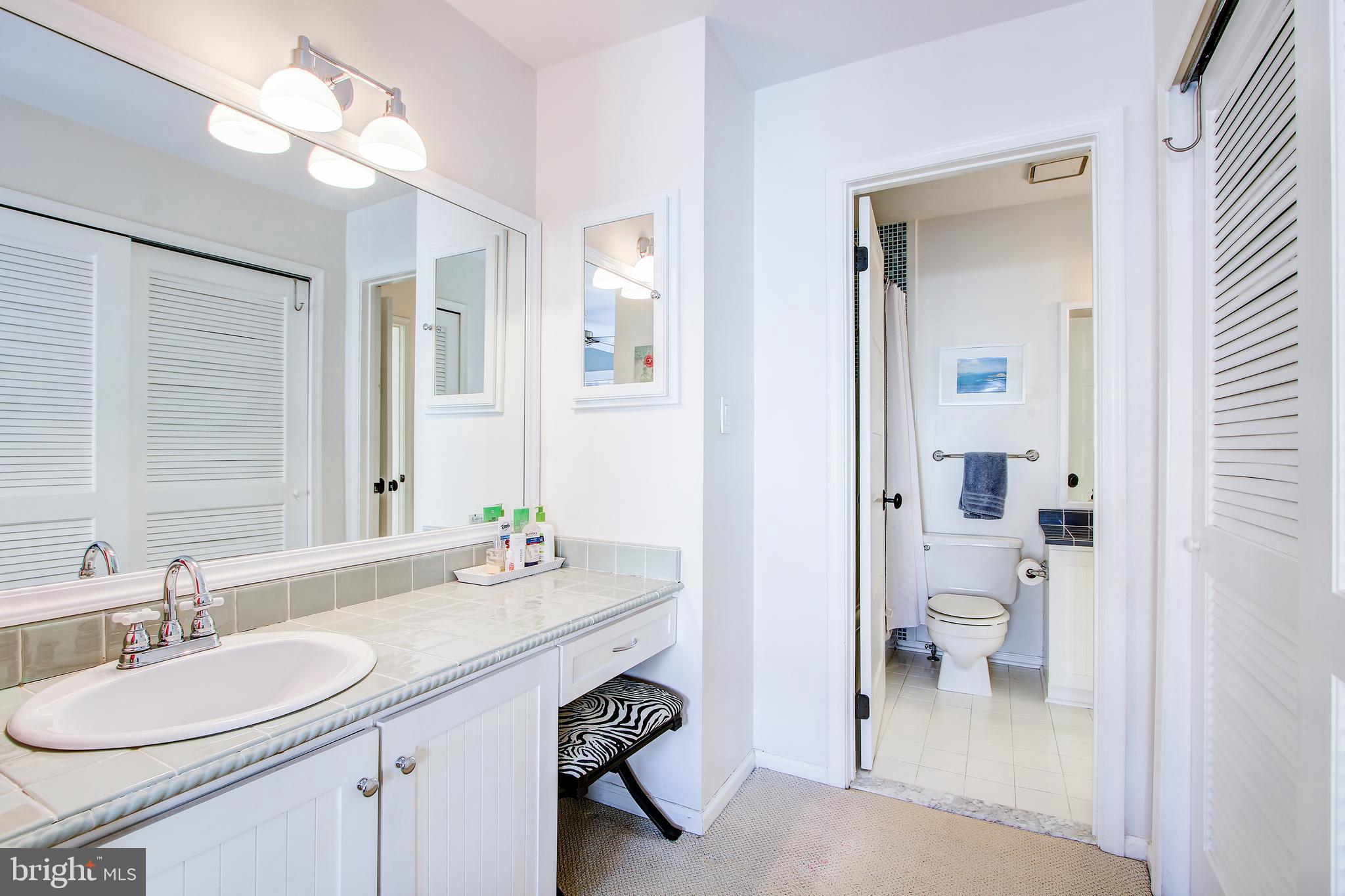 2002 Derby Ridge Lane, Unit 4 Silver Spring, MD 20910 - Photo 28 of 47 Master Bathroom