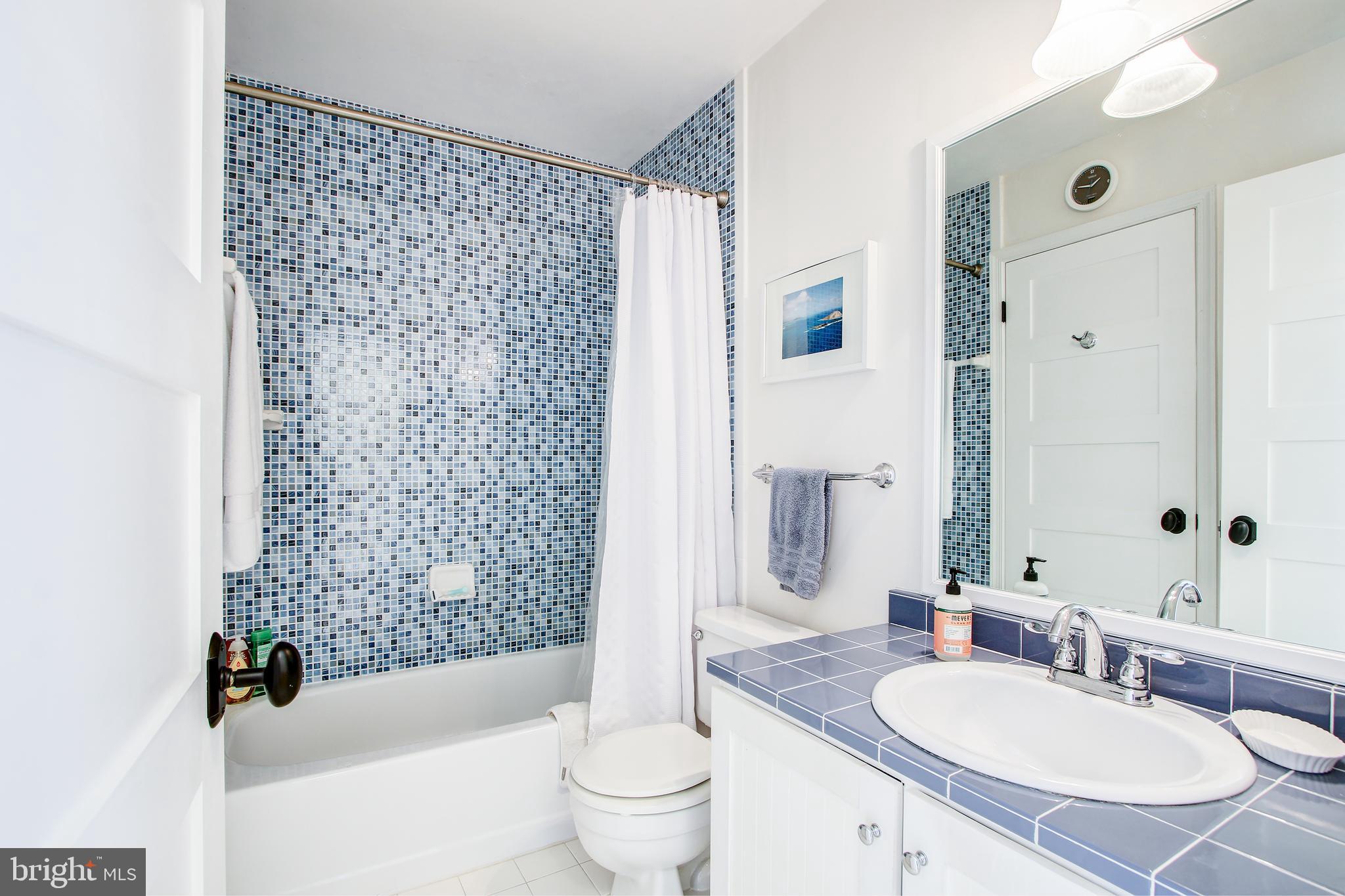 2002 Derby Ridge Lane, Unit 4 Silver Spring, MD 20910 - Photo 29 of 47 Master Bathroom