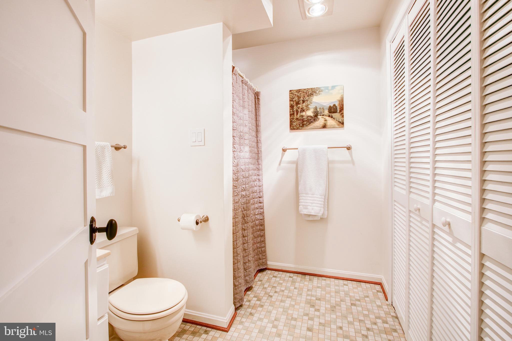 2002 Derby Ridge Lane, Unit 4 Silver Spring, MD 20910 - Photo 38 of 47 Basement Full Bath