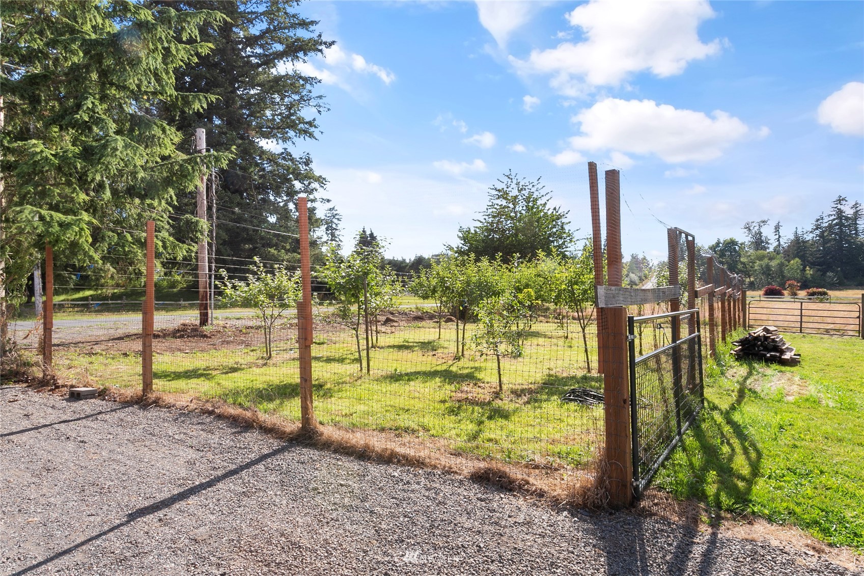 2068 Central Road Everson, WA 98247 - Photo 25 of 38
