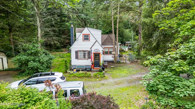 a view of backyard with potted plants and a large tree
