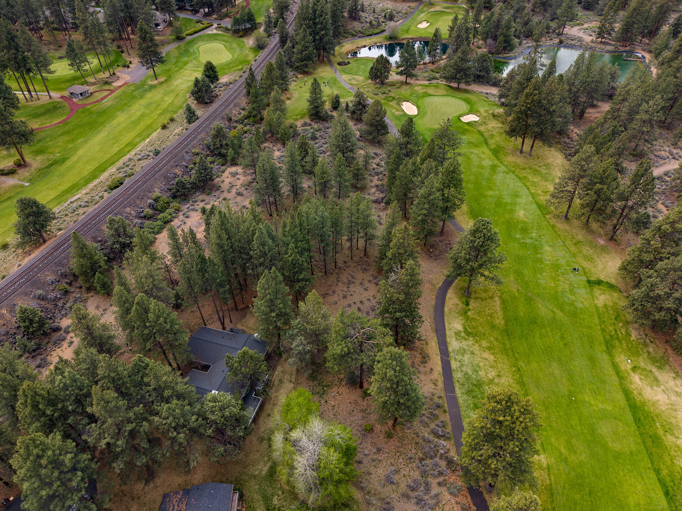 20316 Donkey Sled Road Bend, OR 97702 - Photo 46 of 50 a view of a garden with a yard