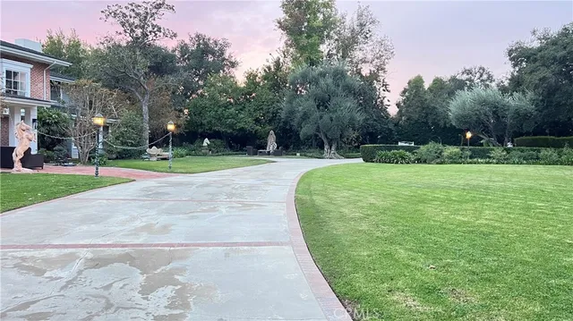a view of a park with large trees