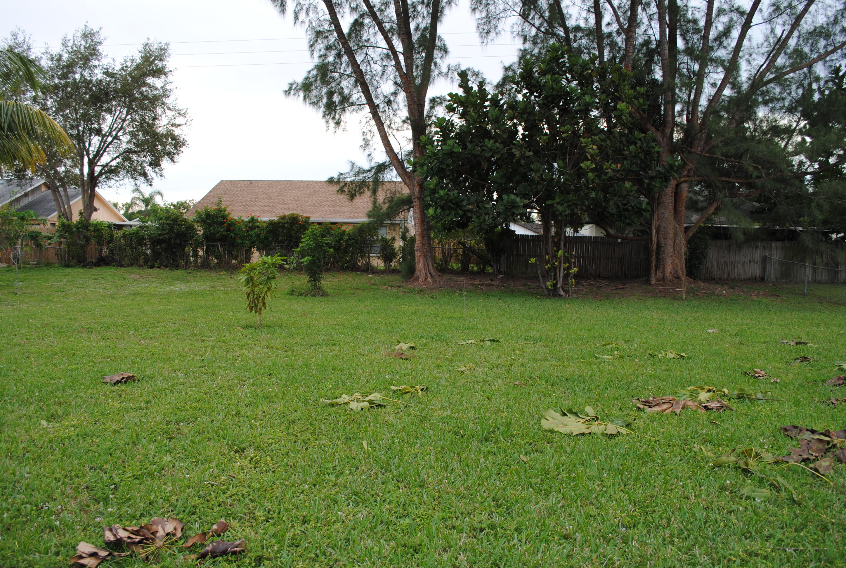 109 Bobwhite Road Royal Palm Beach, FL 33411 - Photo 7 of 8 010
