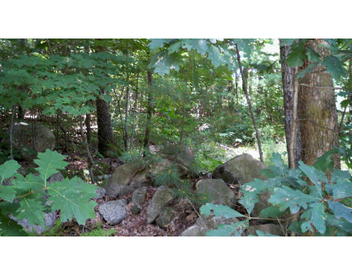 Lot 1 Turner Road Charlton, MA 01507 - Photo 3 of 9 Gallery Image 3
