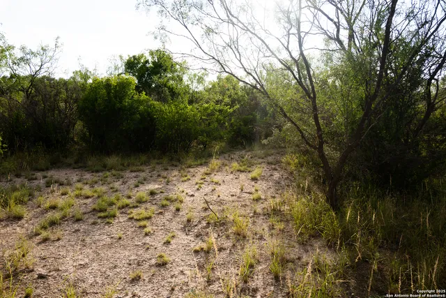 a view of backyard with green space