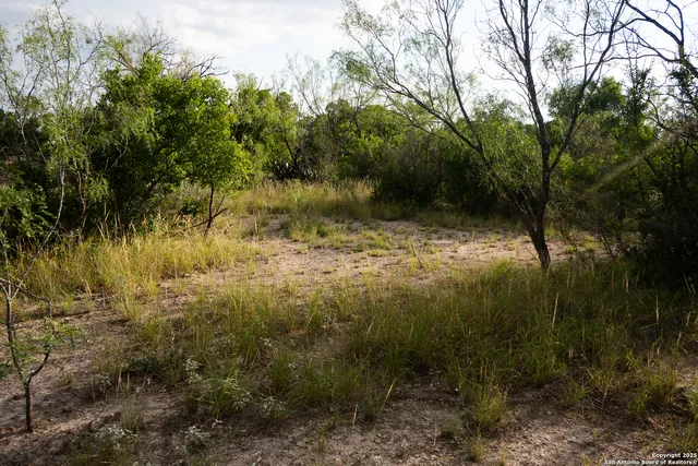 a view of a lake with a yard