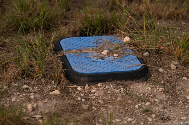 a view of a backyard with large trees