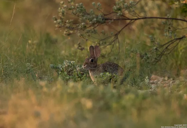 a bathroom with a small yard