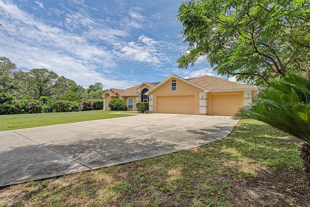 20811 Southwest 81st Loop Dunnellon, FL 34431 - Photo 6 of 89