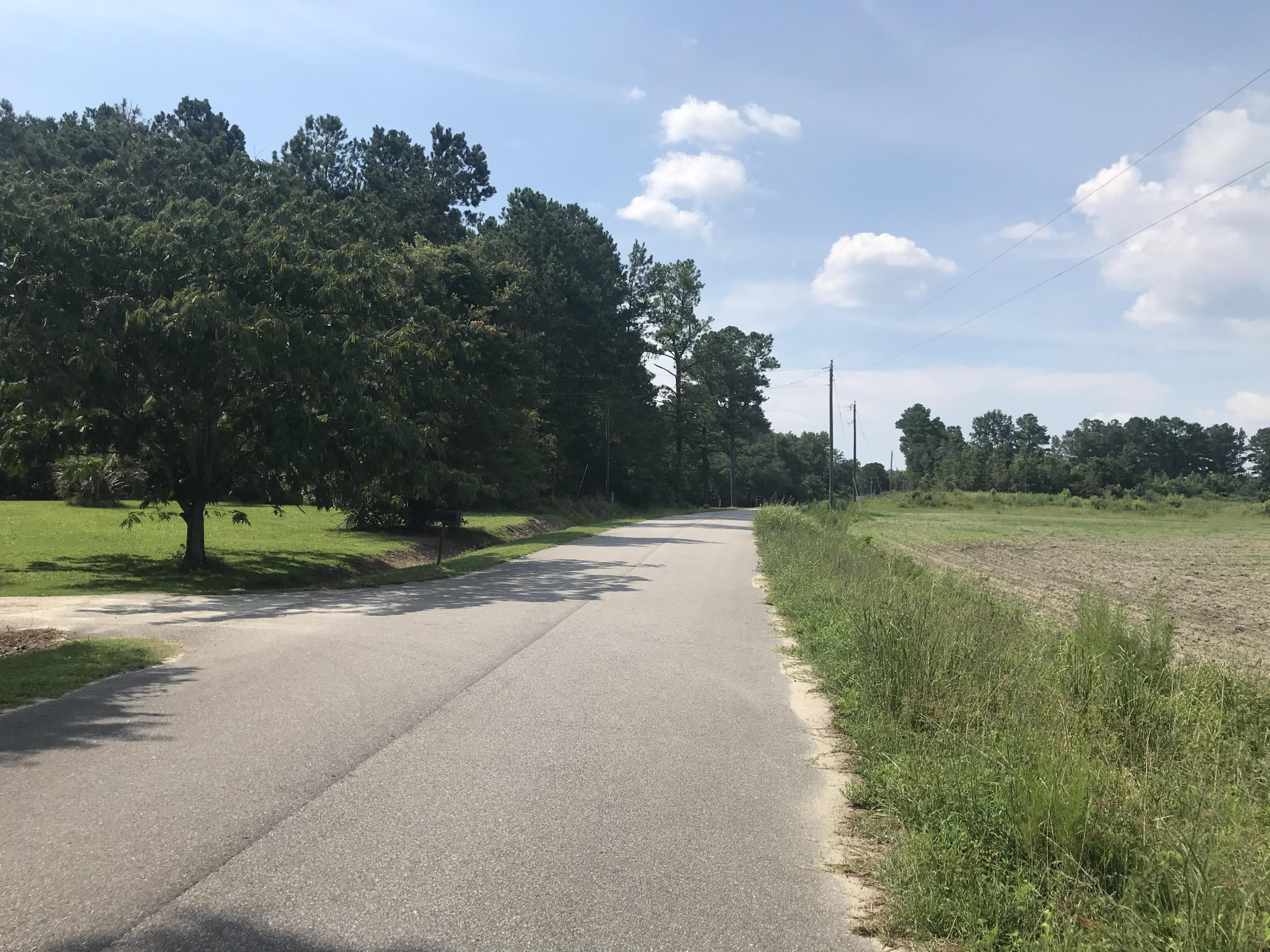0 Calestown Road Bonneau, SC 29431 - Photo 1 of 2 cales1