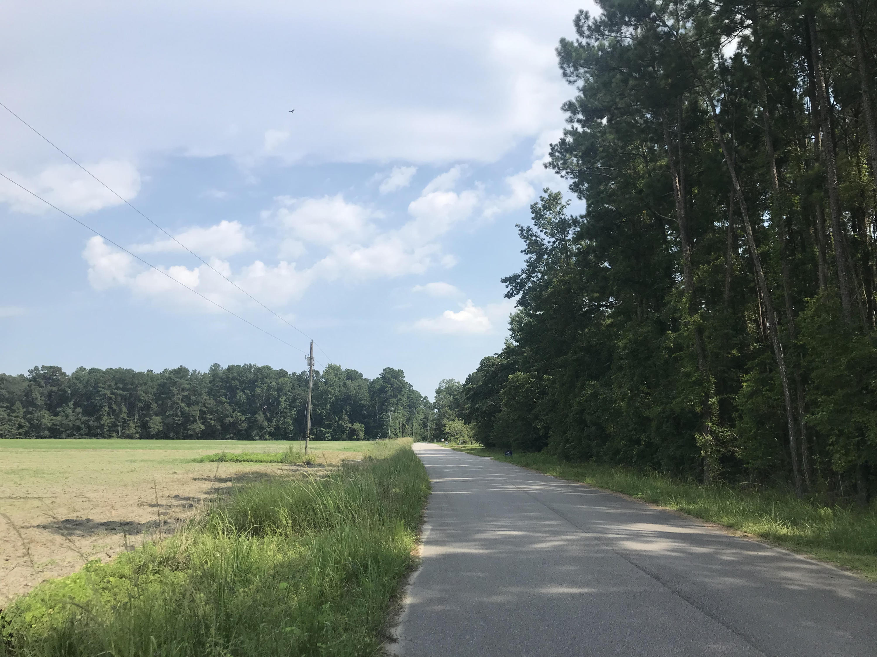0 Calestown Road Bonneau, SC 29431 - Photo 2 of 2 cales2