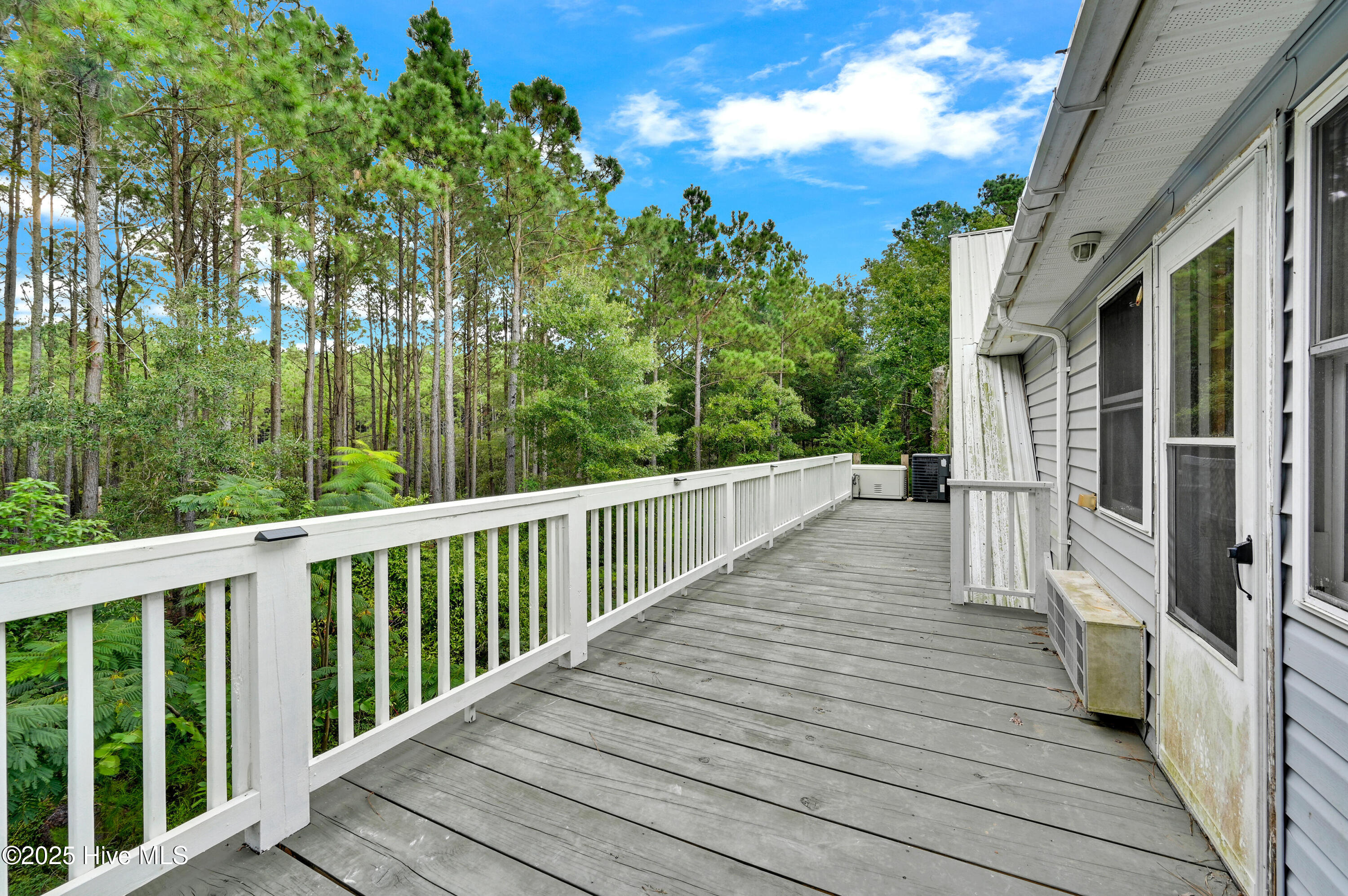 640 Old Pamlico Beach Road Belhaven, NC 27810 - Photo 44 of 56 46