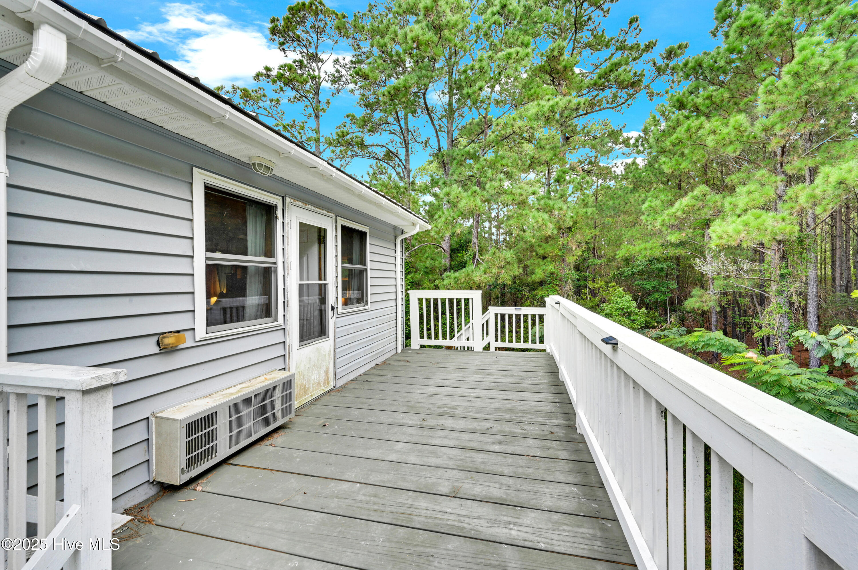 640 Old Pamlico Beach Road Belhaven, NC 27810 - Photo 47 of 56 49