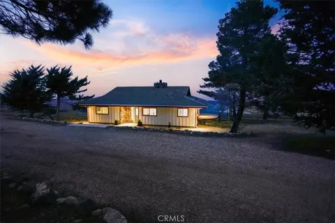 a view of a dry field with trees in the background