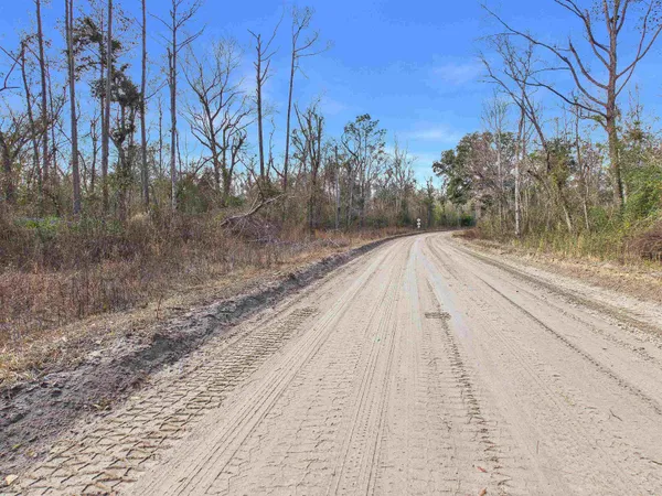 $22,900 | Vacant Northeast River Park Road, Lee, FL 32059