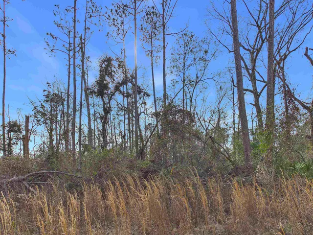 $24,900 | Vacant Northeast River Park Road, Lee, FL 32059